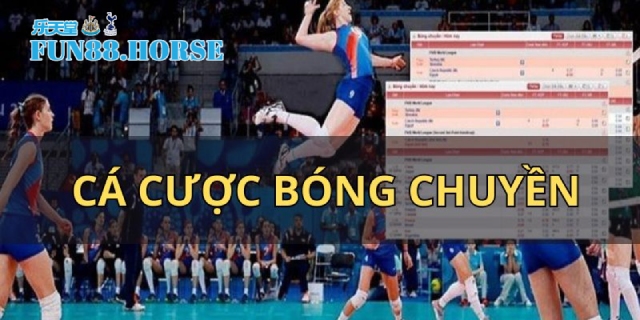 Cá cược bóng chuyền là sao?